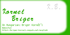 kornel briger business card